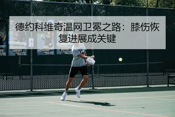 de-yue-ke-wei-qi-wen-wang-wei-mian-zhi-lu-xi-shang-hui-fu-jin-zhan-cheng-guan-jian-3-606.jpg