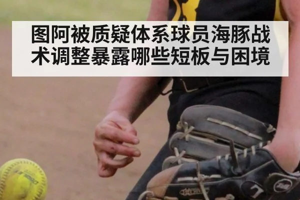 图阿被质疑体系球员海豚战术调整暴露哪些短板与困境