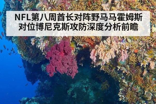NFL第八周酋长对阵野马马霍姆斯对位博尼克斯攻防深度分析前瞻